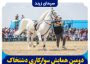 دومین همایش سوارکاری دشتخاک زرند ۳۰ خرداد برگزار می‌شود