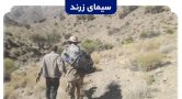 دستگیری دو متخلف برداشت غیرمجاز آنغوزه در داربیدخون زرند