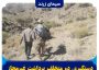 دستگیری دو متخلف برداشت غیرمجاز آنغوزه در داربیدخون زرند