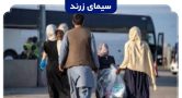 دستور اخراج همه اتباع غیر مجاز از کشور و زرند صادر شد